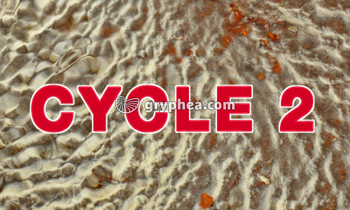 EP Aperçu CYCLE 2-1 - gryphea.org